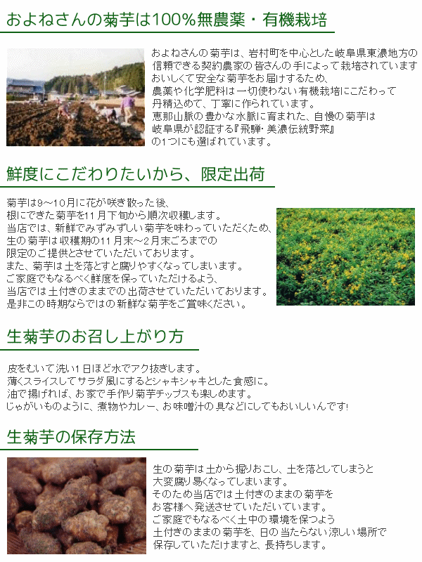 生菊芋の食べ方、保存方法