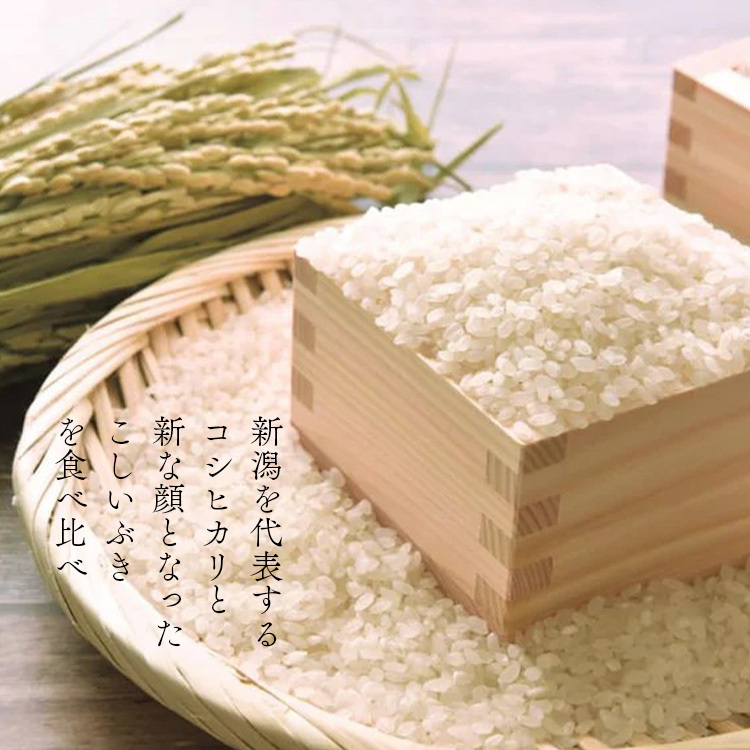 �֡ڤ�����ʡ۹�鿷���Ƥ򿩤���١����ƥޥ����������쥯�ȥ��ե�B�׾ܺ�����